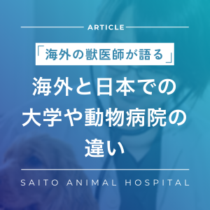 獣医師として感じる海外と日本の違い