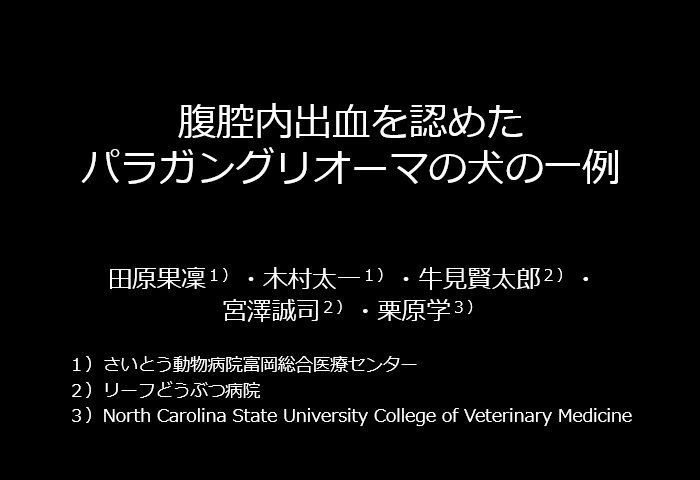 腹腔内出血を認めたパラガングリオーマの犬の一例