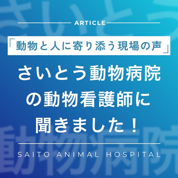さいとう動物病院の動物看護師に聞きました!