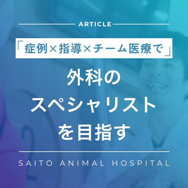 症例×指導×チーム医療で、外科のスペシャリストを目指す